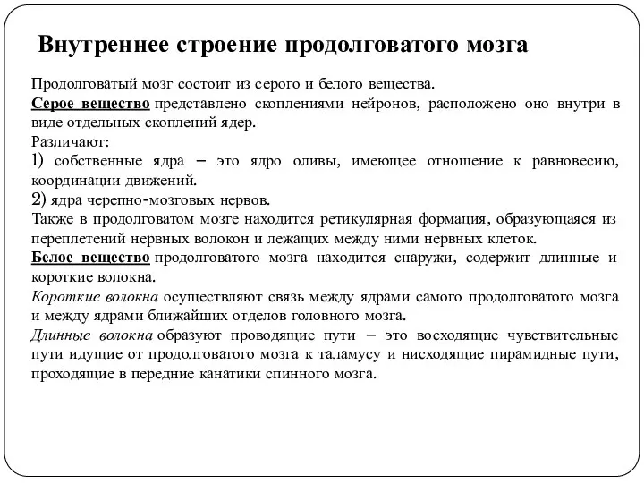 Внутреннее строение продолговатого мозга Продолговатый мозг состоит из серого и белого вещества.