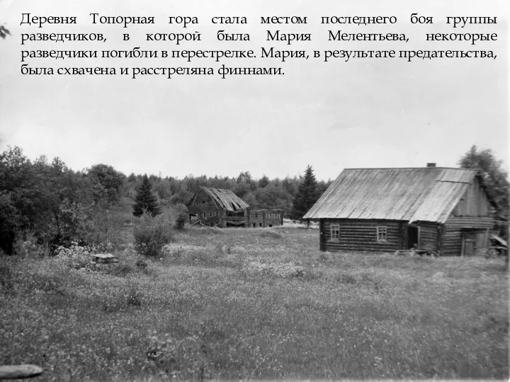 Деревня Топорная гора стала местом последнего боя группы разведчиков, в которой была