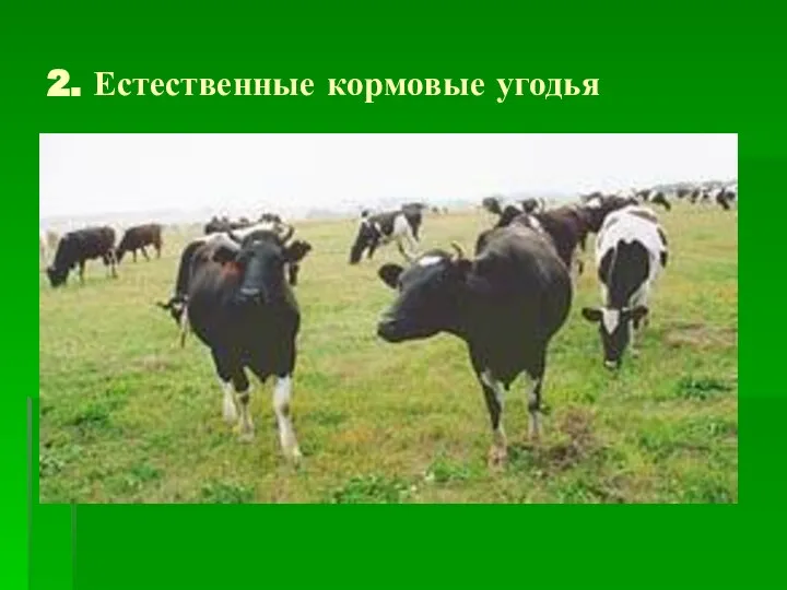 2. Естественные кормовые угодья