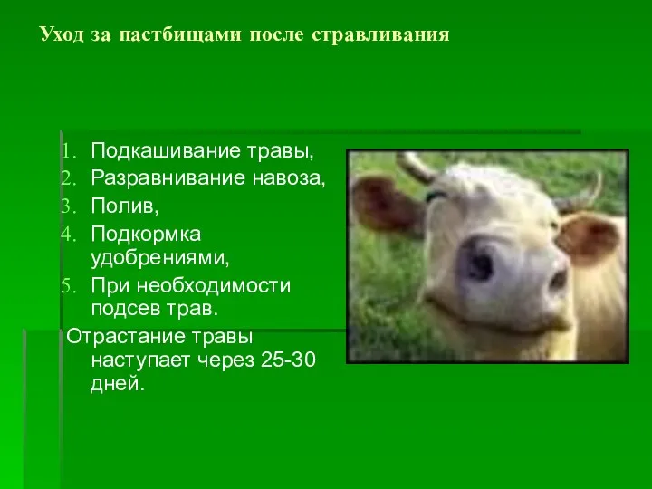 Уход за пастбищами после стравливания Подкашивание травы, Разравнивание навоза, Полив, Подкормка удобрениями,