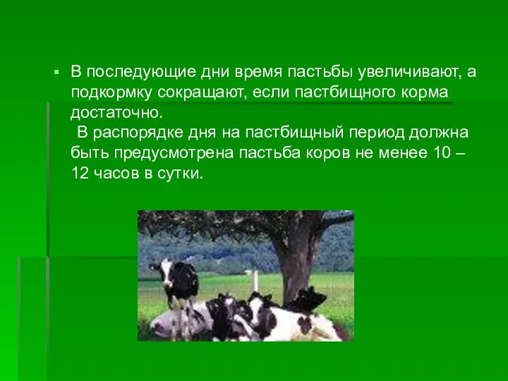 В последующие дни время пастьбы увеличивают, а подкормку сокращают, если пастбищного корма