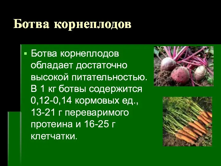 Ботва корнеплодов Ботва корнеплодов обладает достаточно высокой питательностью. В 1 кг ботвы