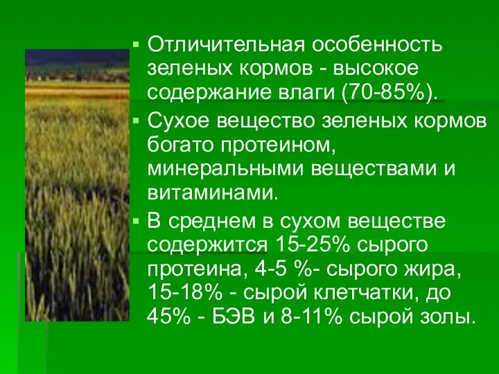 Отличительная особенность зеленых кормов - высокое содержание влаги (70-85%). Сухое вещество зеленых