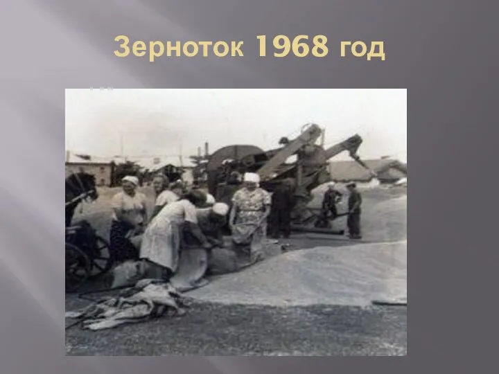 Зерноток 1968 год