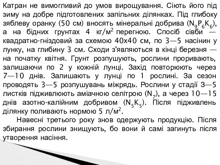 Катран не вимогливий до умов вирощування. Сіють його під зиму на добре