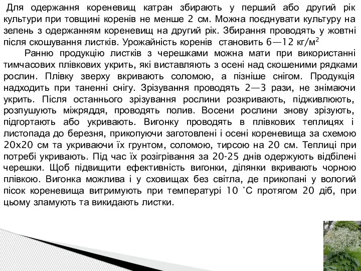 Для одержання кореневищ катран збирають у перший або другий рік культури при