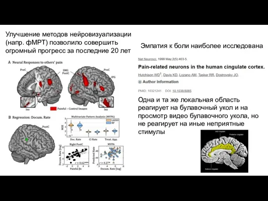 Одна и та же локальная область реагирует на булавочный укол и на