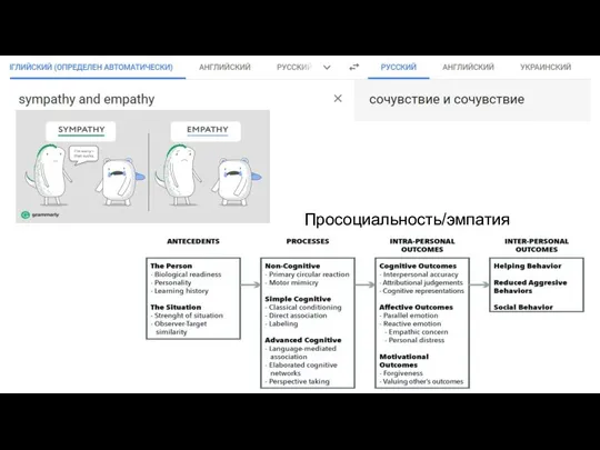 Просоциальность/эмпатия