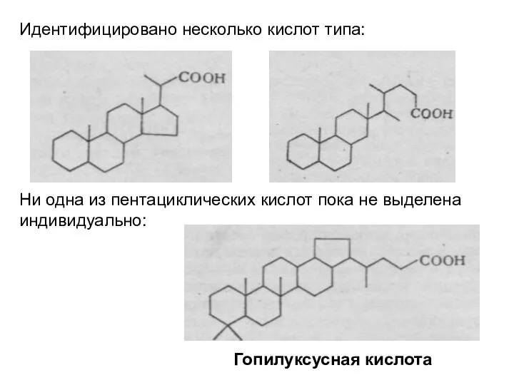 Идентифицировано несколько кислот типа: Ни одна из пентациклических кислот пока не выделена индивидуально: Гопилуксусная кислота