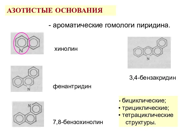 АЗОТИСТЫЕ ОСНОВАНИЯ - ароматические гомологи пиридина.