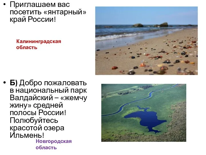 Приглашаем вас посетить «янтарный» край России! Б) Добро пожаловать в национальный парк