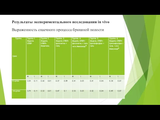 Результаты экспериментального исследования in vivo Выраженность спаечного процесса брюшной полости