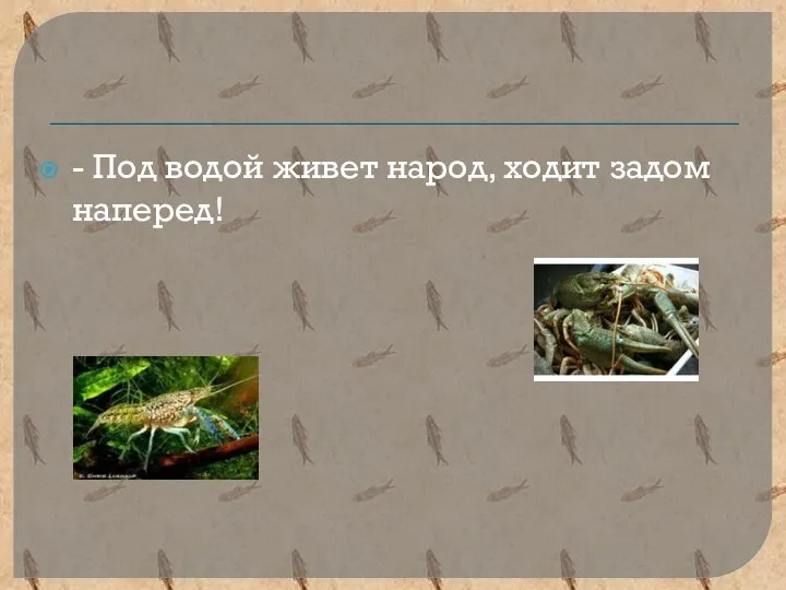 - Под водой живет народ, ходит задом наперед!