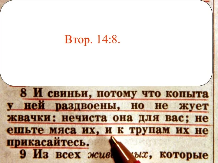 Втор. 14:8.