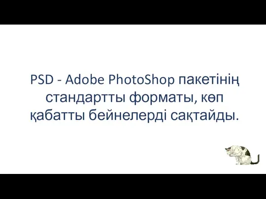 PSD - Adobe PhotoShop пакетінің стандартты форматы, көп қабатты бейнелерді сақтайды.