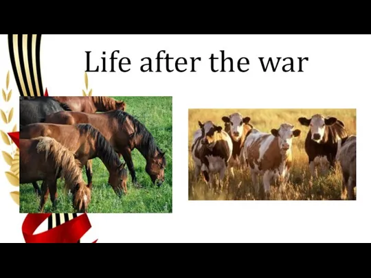 Life after the war