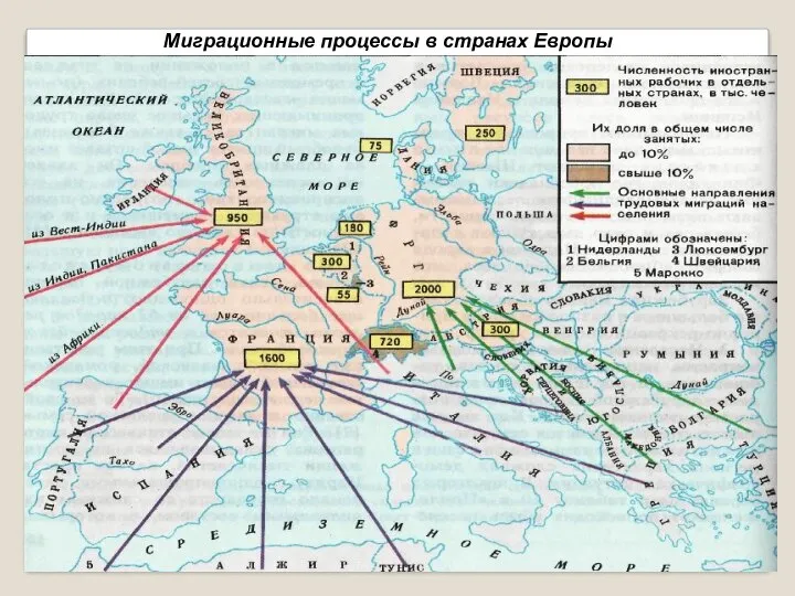 Миграционные процессы в странах Европы