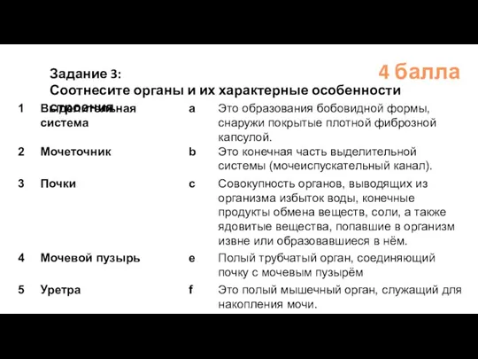 4 балла Задание 3: Соотнесите органы и их характерные особенности строения