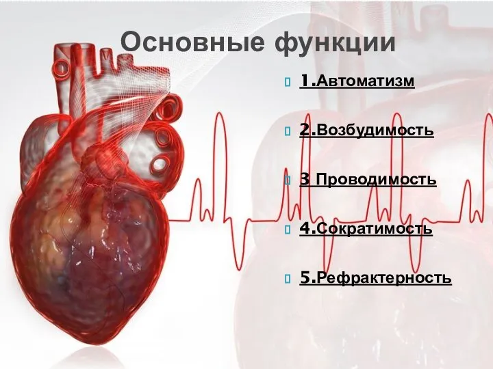 Основные функции 1.Автоматизм 2.Возбудимость 3 Проводимость 4.Сократимость 5.Рефрактерность