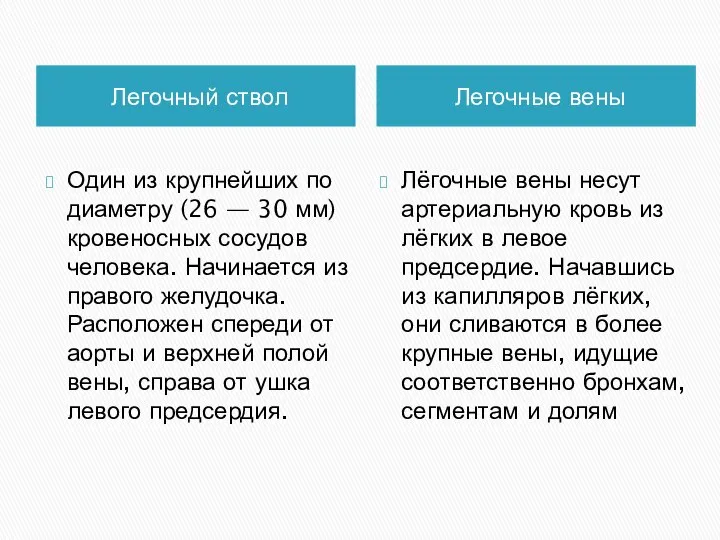 Легочный ствол Легочные вены Один из крупнейших по диаметру (26 — 30