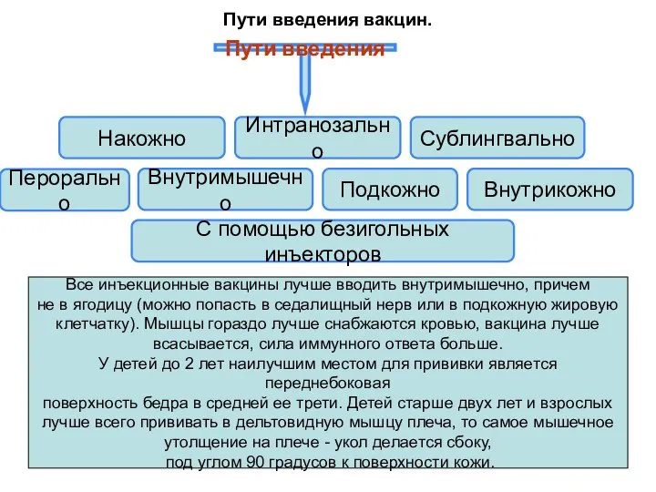 Пути введения вакцин. Пути введения Накожно Внутрикожно Подкожно Внутримышечно Интранозально Перорально Сублингвально