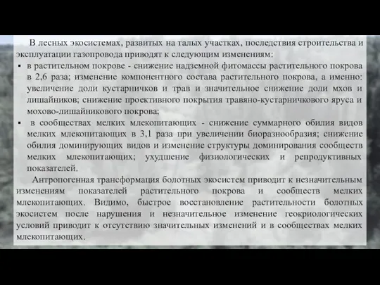 В лесных экосистемах, развитых на талых участках, последствия строительства и эксплуатации газопровода