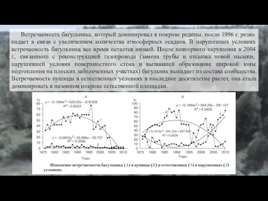 Встречаемость багульника, который доминировал в покрове редины, после 1996 г. резко падает