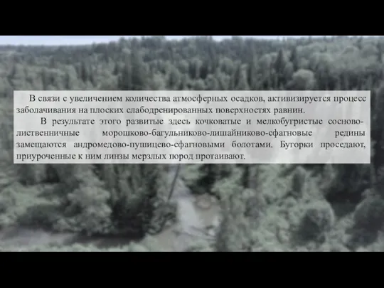 В связи с увеличением количества атмосферных осадков, активизируется процесс заболачивания на плоских