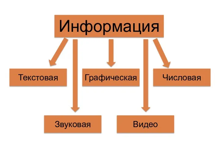 Информация Текстовая Графическая Числовая Звуковая Видео