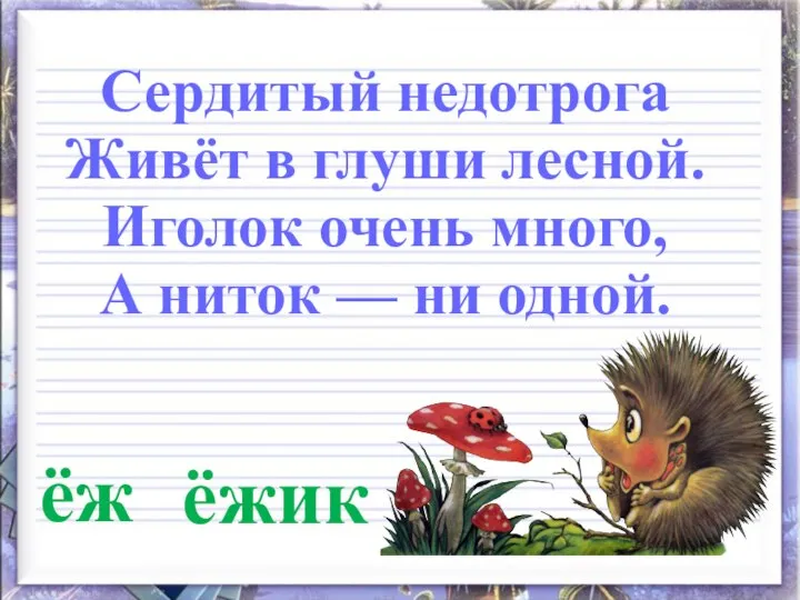 ёж Сердитый недотрога Живёт в глуши лесной. Иголок очень много, А ниток — ни одной. ёжик