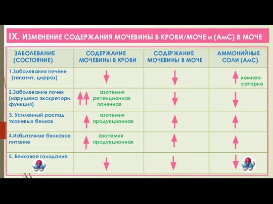 IX. ИЗМЕНЕНИЕ СОДЕРЖАНИЯ МОЧЕВИНЫ В КРОВИ/МОЧЕ и (АмС) В МОЧЕ