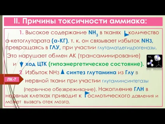 II. Причины токсичности аммиака: 1. Высокое содержание NH3 в тканях количество α-кетоглутарата