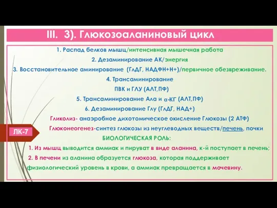 III. 3). Глюкозоаланиновый цикл 1. Распад белков мышц/интенсивная мышечная работа 2. Дезаминирование