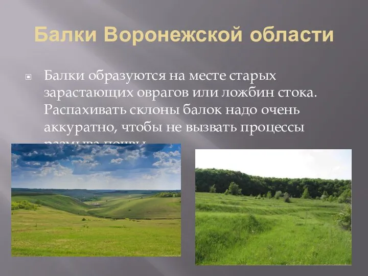 Балки Воронежской области Балки образуются на месте старых зарастающих оврагов или ложбин