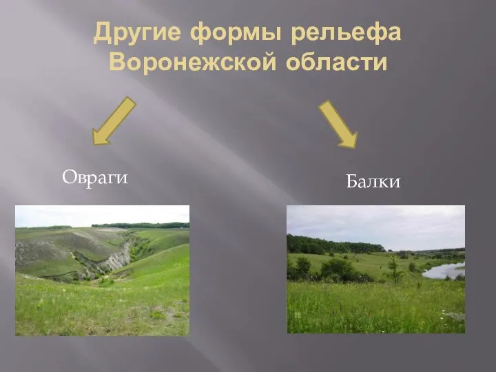 Другие формы рельефа Воронежской области Овраги Балки