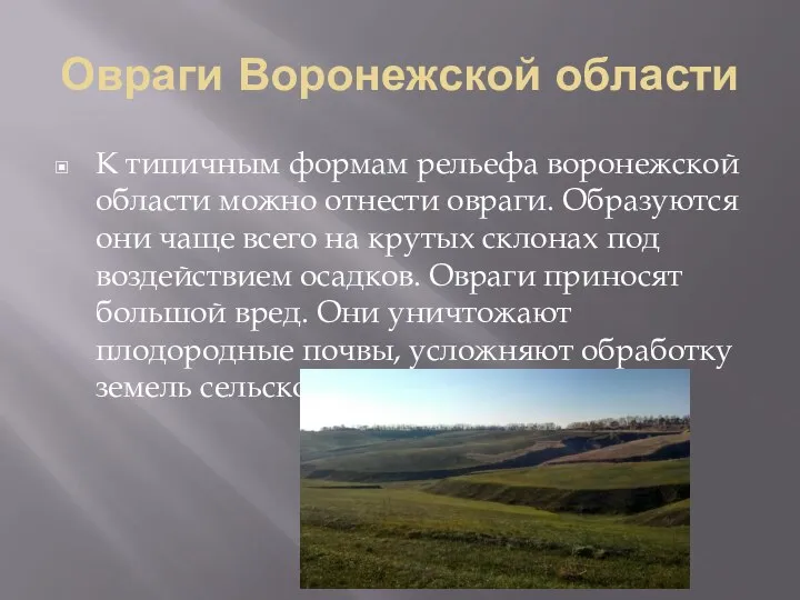 Овраги Воронежской области К типичным формам рельефа воронежской области можно отнести овраги.