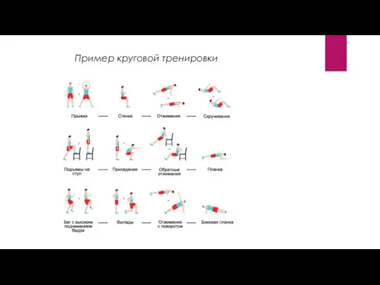 Пример круговой тренировки