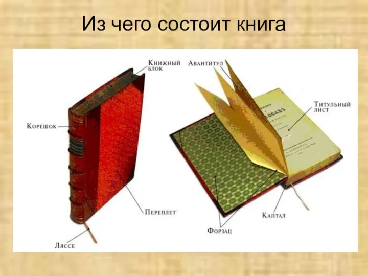 Из чего состоит книга