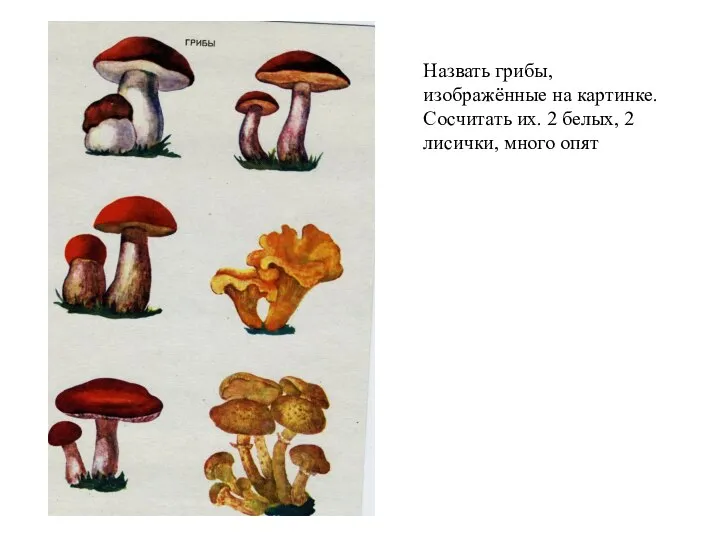 Назвать грибы, изображённые на картинке. Сосчитать их. 2 белых, 2 лисички, много опят