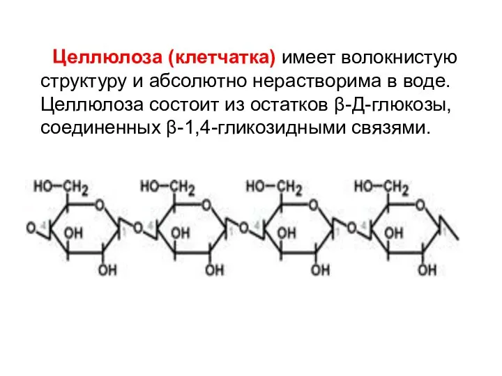 Целлюлоза (клетчатка) имеет волокнистую структуру и абсолютно нерастворима в воде. Целлюлоза состоит