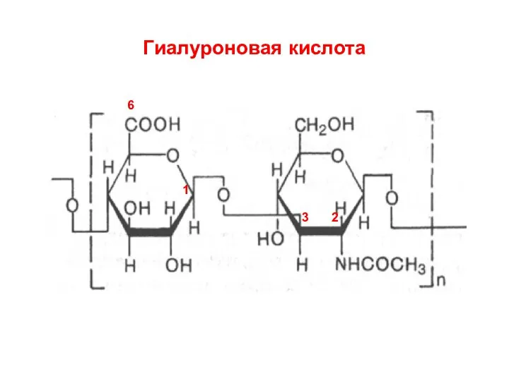 Гиалуроновая кислота 1 3 6 2