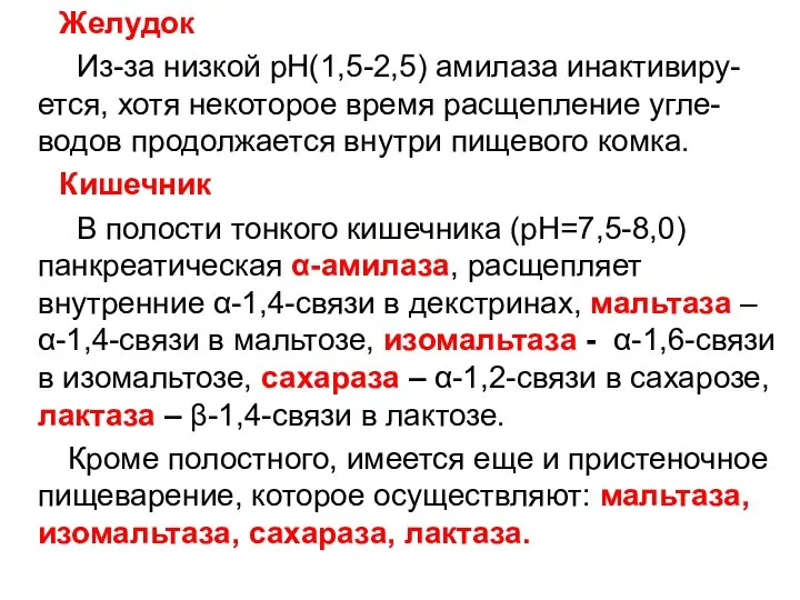 Желудок Из-за низкой рН(1,5-2,5) амилаза инактивиру-ется, хотя некоторое время расщепление угле-водов продолжается