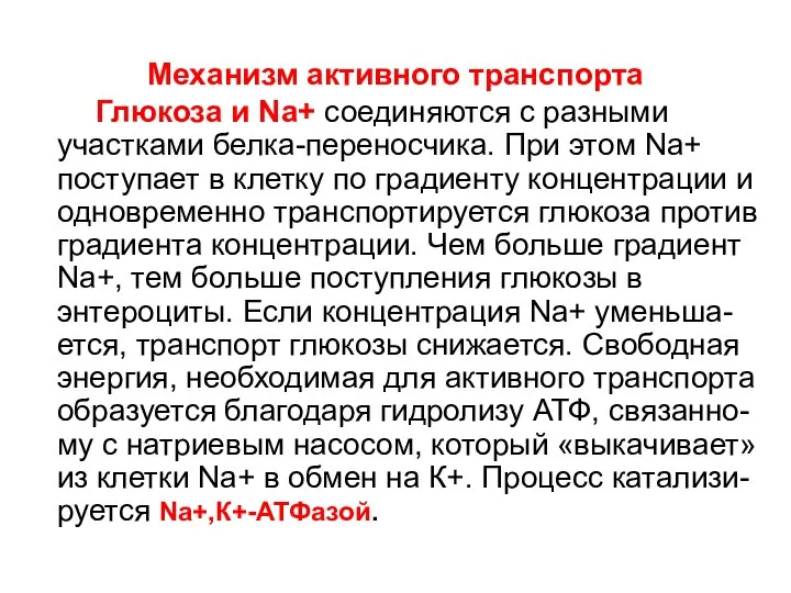 Механизм активного транспорта Глюкоза и Nа+ соединяются с разными участками белка-переносчика. При