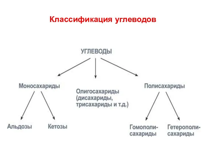 Классификация углеводов