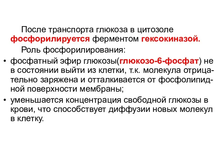 После транспорта глюкоза в цитозоле фосфорилируется ферментом гексокиназой. Роль фосфорилирования: фосфатный эфир