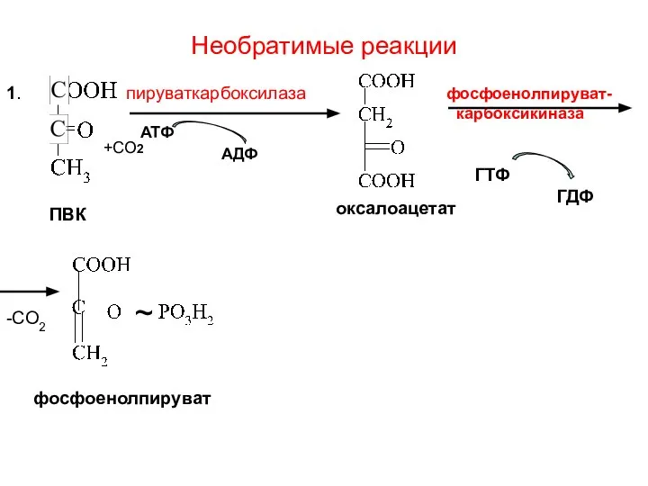 Необратимые реакции 1. пируваткарбоксилаза фосфоенолпируват- карбоксикиназа ATФ AДФ ГTФ ГДФ -CO2 ~ ПВК оксалоацетат фосфоенолпируват +СО2