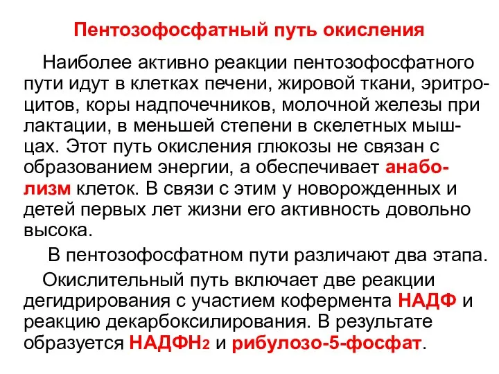 Пентозофосфатный путь окисления Наиболее активно реакции пентозофосфатного пути идут в клетках печени,