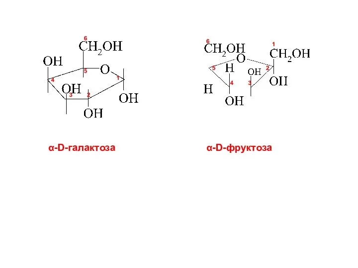 α-D-галактоза α-D-фруктоза 1 2 3 4 5 6 1 2 3 4 5 6
