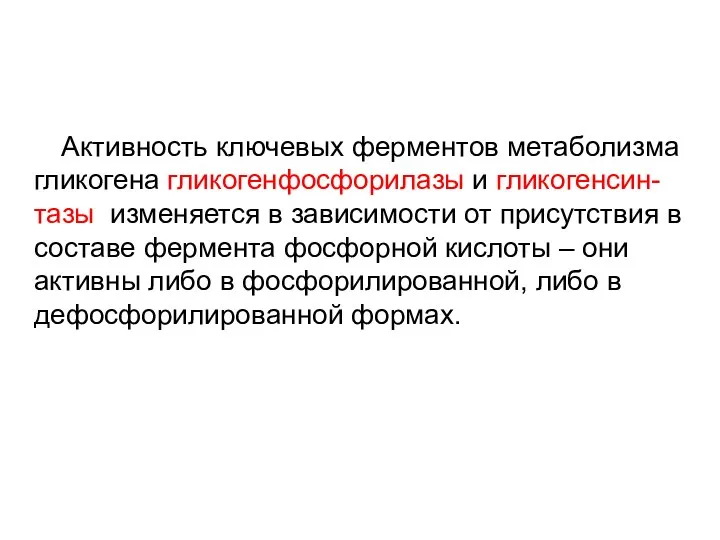 Активность ключевых ферментов метаболизма гликогена гликогенфосфорилазы и гликогенсин-тазы изменяется в зависимости от