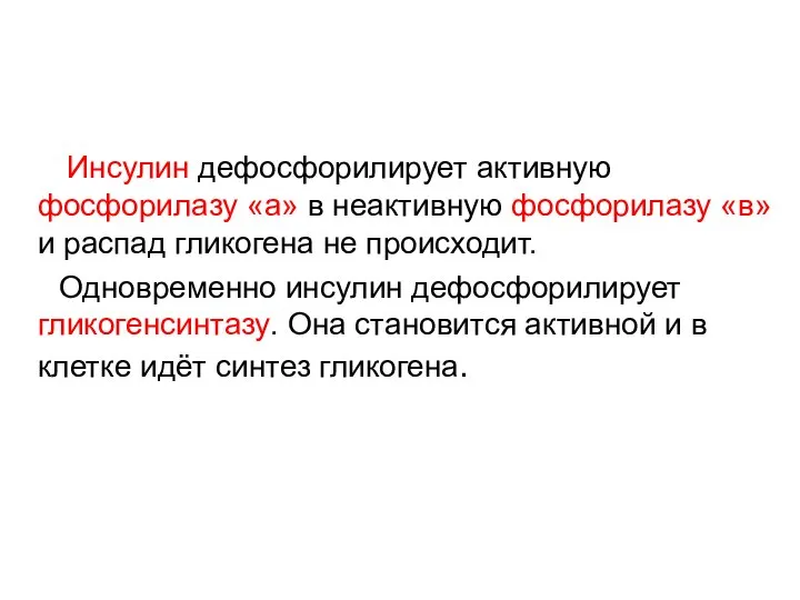 Инсулин дефосфорилирует активную фосфорилазу «а» в неактивную фосфорилазу «в» и распад гликогена